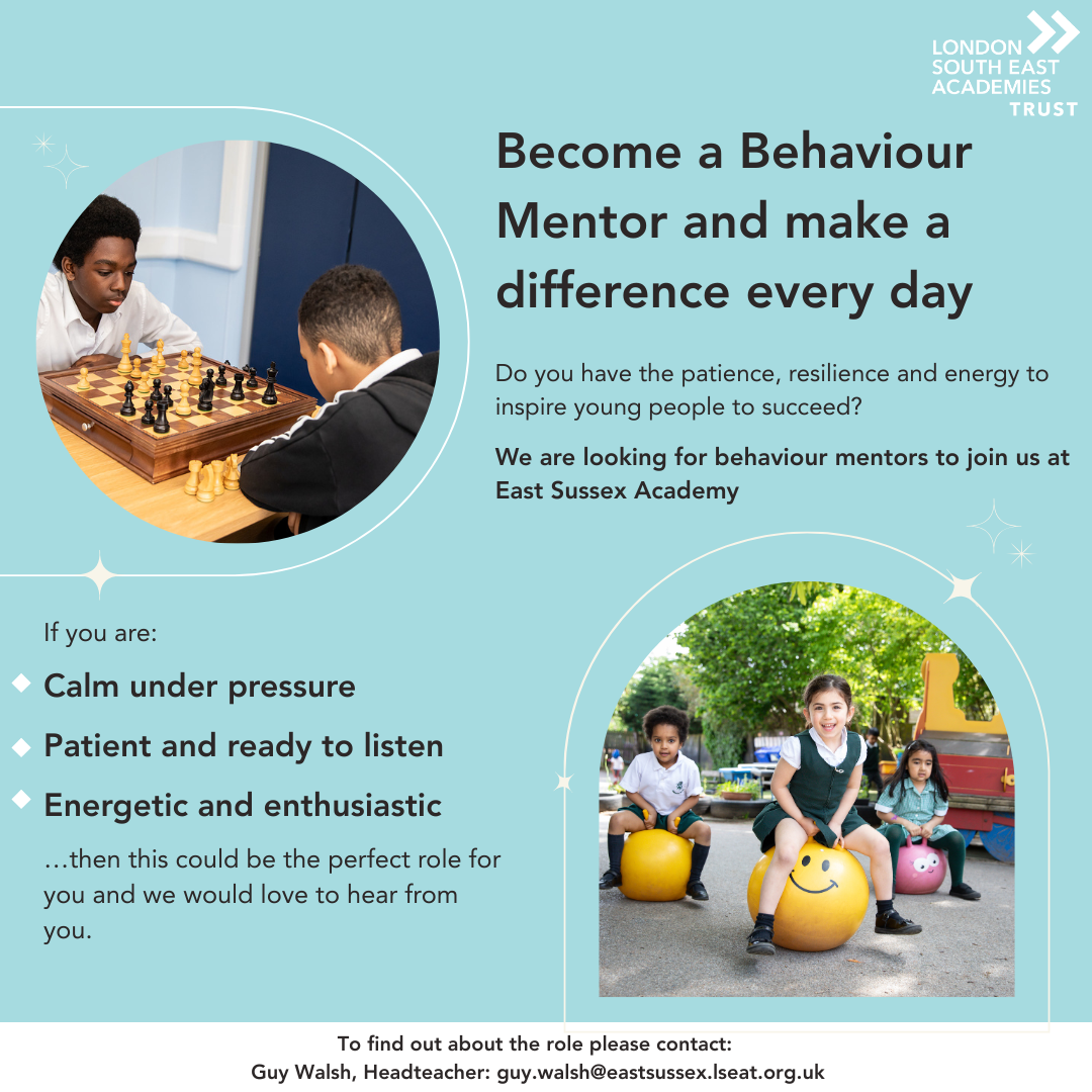 Behaviour Mentor role